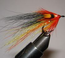 ���� �������� �� �������� Junglecock Tay Raider  LOOP �10